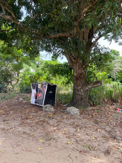 The image displays an outdoor scene in Alasia, Nigeria, characterized by dense vegetation and disturbed ground. A large, mature tree with a thick, textured trunk and extensive green foliage dominates the right side and extends into the upper frame. Positioned beneath the tree's canopy, slightly left of center, is a makeshift, roughly cubic structure, approximately one meter in height, constructed from a flexible banner material. One visible side of this structure features a partial, distorted image of a man's face in grayscale, accompanied by red graphical elements and a prominent white numeral "5." Two irregularly shaped, light-colored rocks rest on the ground in front of the structure. The immediate foreground and midground consist of reddish-brown bare earth, heavily interspersed with dry, fallen leaves, small twigs, and scattered debris. The background reveals a dense growth of various green plants, including succulent-like foliage on the left and taller grasses or shrubs on the right. The scene is illuminated by bright daylight, and no individuals are present.