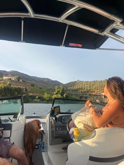 The image presents a view from inside a motorboat on a body of water in the Douro Valley, near Carrazeda de Ansiães, Portugal. The overhead structure of the boat consists of a black canvas bimini supported by a polished metallic frame.
On the left side of the boat, a person's lower left leg and arm are partially visible, wearing dark patterned shorts. A brown dog, possibly a Vizsla, with a red collar, stands between the left seating area and the central console, facing forward. Blue and white fabric items are on the boat floor near the dog. The boat's helm station, featuring a steering wheel, a digital display screen, and various controls, is located to the right of the dog.
A woman with long brown hair is seated on the right side of the boat, facing away from the camera and looking towards the right side of the frame. She wears a patterned bikini top. Both of her hands are engaged with a light-colored canvas tote bag, which displays partial text including "100" and "2-2022". A yellow and blue patterned towel is draped over the seat next to her.
The boat is situated on a body of calm water, exhibiting minor surface ripples. The background consists of rolling hills extensively covered in green vegetation, notably terraced vineyards and trees. Multiple buildings, some with red roofs, are scattered across the landscape on both the left and right banks. A prominent white building is visible near the water's edge on the left. On a distant hillside to the right, a structure bearing the partial word "DOURO" is present, alongside a utility pole or antenna. The scene is illuminated by clear daylight.