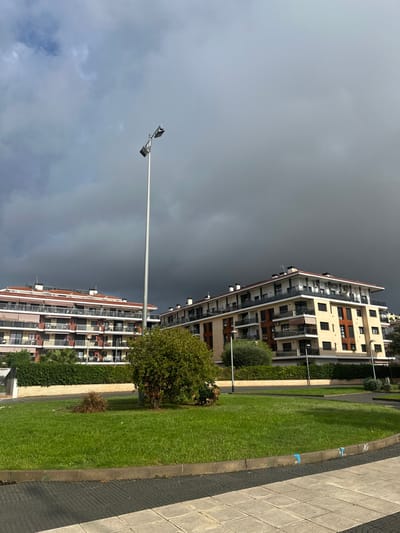 This image depicts an urban landscape in Pineda de Mar, Spain. The scene is dominated by a heavily overcast, dark gray sky, suggesting imminent or recent precipitation.

In the immediate foreground, a tiled pedestrian walkway with a geometric pattern is visible, bordered by a dark concrete curb. Immediately behind the curb lies a well-maintained patch of green grass. A singular, medium-sized, bushy green shrub occupies the central portion of this grassy area. Directly behind the shrub, a tall, slender, metallic street light pole ascends vertically, featuring two rectangular luminaire heads angled downwards at its apex.

In the background, two multi-story residential apartment buildings are prominent. The building on the left exhibits a light-colored facade with multiple levels of balconies, equipped with railings and retracted awnings, and is capped with a red-tiled roof. The building on the right, slightly further back, also displays a light-colored facade with dark brown accents, balconies, and a red-tiled roof. Both structures are partially obscured by a dark green, manicured hedge lining their bases. No individuals, animals, or vehicles are present, and no active interactions are depicted within the frame.