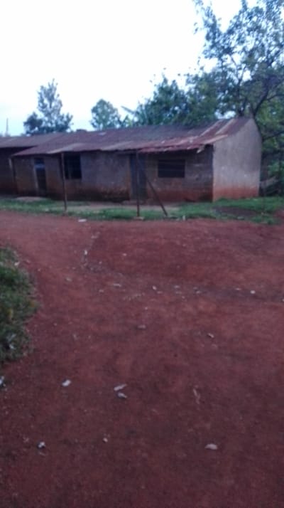 The image displays a series of single-story structures situated in Siaya Township ward, Kenya, under an overcast sky. The foreground and midground consist of reddish-brown dirt, characteristic of laterite soil, with sparse white debris scattered across the surface. Patches of green vegetation are visible along the left edge of the dirt path and between the path and the buildings. The primary structure is an elongated building with unpainted or minimally plastered walls, likely constructed from brick or mud, exhibiting signs of weathering. Its roof is composed of aged, corrugated metal sheets. Several rectangular window openings, some fitted with horizontal slats or bars, are visible along the building's facade. Two angled wooden poles stand in front of the structure. The background features dense green foliage from various trees, rising above and behind the buildings. No human subjects are present, and no discernable actions or interactions are occurring.