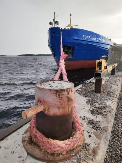In Shal'skii, Russia, a large blue and red cargo ship named "ЕВГЕНИЙ ОРЛОВСКИЙ" is docked at a concrete pier. A thick pink rope is tied to a rusty bollard in the foreground, extending towards the ship. The pier is covered with gravel and concrete. The water is dark and choppy, with a distant shoreline visible. The sky is overcast.