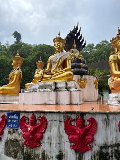 This image depicts an outdoor temple area in Chiang Dao, Thailand, under an overcast sky. The scene features multiple large, golden Buddha statues arranged on reddish-brown tiled ground, which appears damp.

In the foreground, a low, light-colored concrete wall, heavily stained with dark vertical streaks, runs horizontally across the bottom of the frame. Embedded into this wall are several vibrant red, winged humanoid figures in relief, identified as Garudas. To the left on this wall, a rectangular blue sign with white text is affixed. It displays "ห้ามขึ้น" (Thai), "BANNED" (English), and "不要进入" (Chinese).

Beyond the wall, four main golden Buddha statues are prominently positioned on light-colored concrete pedestals. All statues are seated in meditative poses, adorned with intricate golden crowns and white or silver fabric sashes draped over their left shoulders.
The leftmost statue is visible in profile, facing towards the right.
The central and most prominent statue faces slightly right and is backed by a large, ornate, black multi-headed Naga (serpent) forming a protective canopy. This central statue sits on a multi-tiered pedestal adorned with golden Garuda reliefs. A small black plaque with Thai text is affixed to the front of its pedestal.
To the immediate right of the central statue, another Buddha statue is partially visible, facing slightly left.
The rightmost statue is seen from its back-left side, facing left.

The ground around the pedestals is a uniform reddish-brown tile, reflecting light due to its damp condition. A small, dark-colored bird is perched on this wet ground between the central and rightmost statues. Further right, a small, dark, ornate pot or vessel rests on the ground.

In the mid-ground and background, dense, lush green trees and foliage cover a hillside. A dark-tiled roof structure is partially visible behind the central Buddha statues and the Naga. The sky above is a uniform light gray, indicating heavily overcast conditions with visible cloud formations.