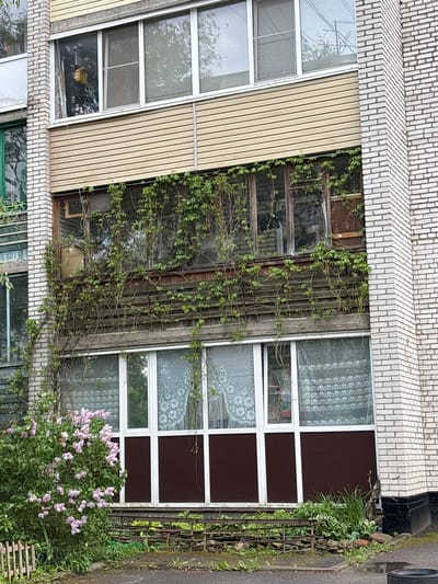 The image shows a section of a multi-story building in Ulyanovka, Russia. The building's facade includes brickwork, tan siding, and multiple windows. Some windows are overgrown with vines. One window has brown panels and lace curtains. A lilac bush grows near the base of the building. A metal fence is visible. The overall impression is of an older building with some overgrowth.