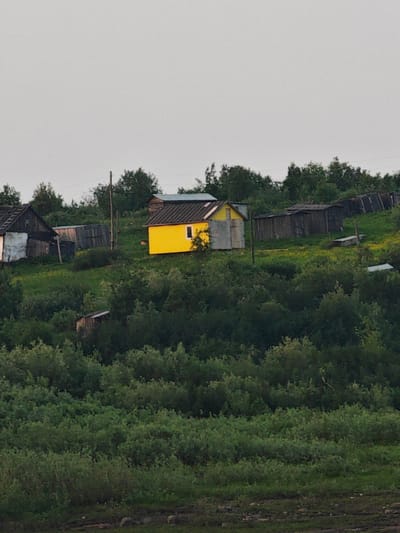This image depicts a rural scene in Potapovo, Russia. The primary subject is a cluster of small, rustic buildings set against a backdrop of dense green foliage and trees, situated on a gentle slope. A bright yellow structure, likely a house or shed, stands out prominently in the center of the frame. Adjacent to it are several other weathered, wooden buildings, some with dark, sloped roofs, suggesting a village or settlement. One building to the left has white and dark siding. The foreground is dominated by lush, overgrown greenery, with hints of dirt paths and rocks.
The time of day appears to be late afternoon or early evening, as indicated by the soft, diffused light and the overcast sky, which suggests a calm and possibly cool weather. There are no people visible in the image. The overall impression is one of quiet seclusion and a simple, perhaps remote, way of life. No text is visible in the image.