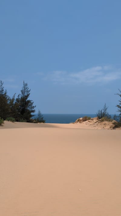 The image depicts a coastal landscape in Phuoc Dinh, Vietnam. The right side of the image is dominated by a large sand dune, extending vertically. Vegetation, including trees and bushes, grows along the edge of the dune closest to the sea. A body of water is visible between the dune and the blue sky. The sky occupies the left side of the image, with a few light clouds. The entire image is oriented vertically.
