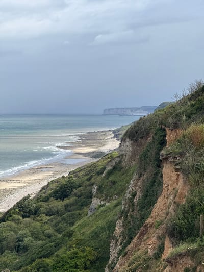 This detailed description pertains to an outdoor coastal landscape in Octeville-sur-Mer, France, captured on an overcast day. The scene is dominated by a rugged, vegetated cliff face on the right, sloping downwards towards a beach and the sea on the left.

The sky occupies the upper portion of the image, presenting a uniform, light grey expanse filled with scattered, indistinct clouds, indicating an overcast condition without direct sunlight.

Below the sky, the sea extends across the mid-ground. The water is a muted blue-green, with subtle variations in tone and texture. Small waves are visible, particularly closer to the shore, where they break into white foam along the coastline.

A narrow, elongated beach, composed of light-colored sand and pebbles, forms a gentle curve between the sea and the base of the cliffs. The beach appears undisturbed, with no human presence or objects.

The right side of the image is dominated by a steep, uneven cliff face that descends sharply from the upper right towards the lower left. The exposed earth of the cliff displays various shades of reddish-brown and orange, suggesting a clay or sandy soil composition, with visible signs of erosion and stratification. The cliff is heavily covered with dense, varied vegetation, including dark green bushes, lighter green grasses, and some sparse, bare deciduous branches, particularly near the top right. Further down the slope, patches of thicker, darker green foliage are present.

In the far distance, across the expanse of the sea, a distinct line of white-grey chalk cliffs is visible on the horizon, stretching horizontally along the distant coastline. No human structures or individuals are identifiable within the frame.