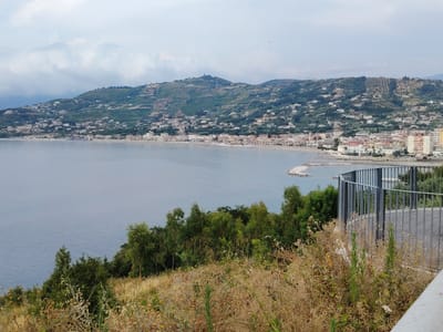 This is a landscape photograph of Agropoli, Italy, taken from an elevated vantage point. The foreground features dry, yellowed grasses and green foliage with some small yellow flowers, suggesting a Mediterranean environment. A metal railing with vertical bars borders a paved area on the right side of the image, providing a railing for a viewpoint.

The midground is dominated by a wide expanse of the calm, blue sea. Along the coastline, a town stretches out, characterized by a mix of buildings with terracotta roofs and more modern structures. The town is nestled at the base of rolling green hills that rise steeply behind it. The hills are dotted with houses and appear to be cultivated in some areas, with visible terraces or vineyards.

In the far background, the hills continue to rise, with one peak featuring a prominent structure, possibly a tower or a church. The sky is overcast with soft, diffused clouds, creating a muted light over the scene. The overall impression is of a coastal town situated within a verdant, hilly landscape. There are no people visible in the image.