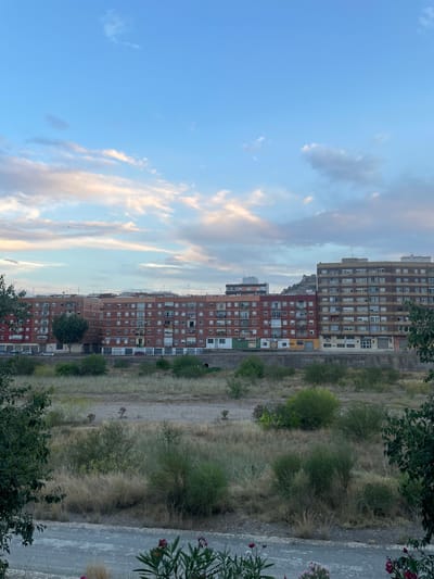 The image shows a row of residential buildings in Sagunto, Spain, bordering a dry riverbed or embankment filled with scrub vegetation. The buildings are multi-story, with brick or concrete facades and numerous windows. Some buildings appear older, with more traditional architecture, while others are more modern. The sky above is blue with scattered white and pinkish clouds, suggesting it is either early morning or late afternoon. The foreground is occupied by dry grass, bushes, and some flowering plants, indicating a Mediterranean climate. A paved pathway or road is visible in the bottom part of the image. There are no people clearly visible in the scene. The overall impression is one of an urban edge where residential development meets a natural, undeveloped area.