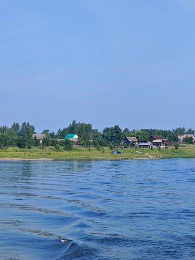 The image depicts a waterfront scene in the village of Galanino, Russia, characterized by a calm river in the foreground and a line of houses and trees along the bank in the background. The sky is clear and blue. The river exhibits gentle ripples, suggesting a tranquil environment. The shore is lined with a variety of trees, predominantly deciduous, interspersed with several wooden houses of varying sizes and architectural styles. Some houses have visible roofs of different colors and materials, including green and gray. The vegetation appears lush and green, indicative of a summer or late spring setting. There are no people visible in the image.