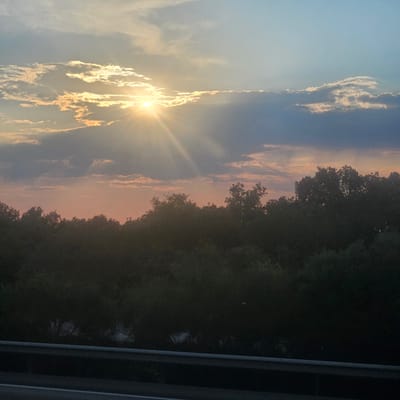 The image depicts a sunset over a wooded area, possibly viewed from a road in Saúca, Spain. The sky is a gradient of pale blue at the top, transitioning through shades of gray and pink clouds, with the sun peeking through, casting bright rays of light. Below the sky, a dense line of dark green trees forms a silhouette against the lighter sky. In the foreground, a dark, textured railing or barrier runs horizontally across the bottom of the image, suggesting it is a roadside view. The overall impression is one of natural beauty and tranquility at dusk.