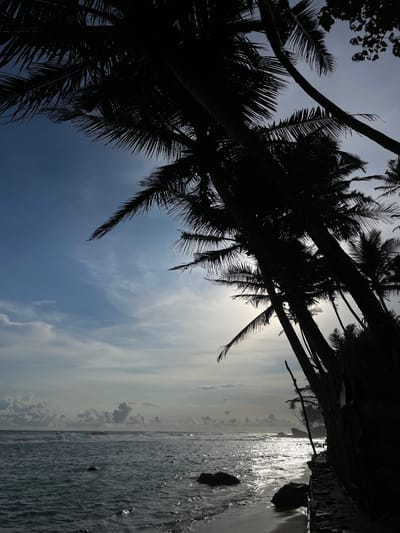 The image depicts a beach in Talpe, Sri Lanka, framed by silhouetted palm trees against a partly cloudy sky. The ocean, reflecting sunlight, stretches horizontally across the right side of the image. Rocks are visible in the water near the shore. The sky transitions from a deep blue to a lighter, cloudier horizon.