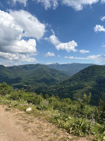 This is a landscape photograph taken from a high vantage point overlooking a lush, green valley in the vicinity of Ribaritsa, Bulgaria. In the foreground, a dirt path leads the viewer's eye into the scene. The path is bordered by a variety of vegetation, including grass, wildflowers with small white and purple blooms, and larger leafy plants. A light-colored rock rests on the ground near the path.

The middle ground is dominated by rolling, densely forested mountains that recede into the distance. The trees are a vibrant green, indicative of a summer season. Small clusters of buildings, suggesting a village or hamlet, are visible nestled within the valley floor and on the lower slopes of the mountains. A winding road can be seen cutting through the landscape.

The sky above is a brilliant blue, punctuated by scattered white, fluffy cumulus clouds. The overall impression is one of natural beauty and tranquility, a scenic vista of a rural mountainous region. There are no people or animals present in the frame. The lighting suggests it is daytime, likely late morning or early afternoon, given the clear sky and the shadows cast by the mountains.