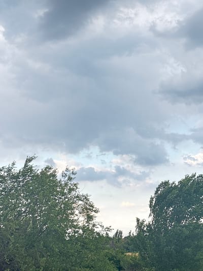The image depicts a cloudy sky above a line of trees and vegetation. The clouds are predominantly gray and white, with some areas appearing lighter and more translucent, suggesting a break in the cloud cover or a lighter layer of clouds. The vegetation at the bottom of the frame consists of dense green trees and bushes, with some branches and leaves visible. The overall lighting suggests it is daytime, possibly overcast or near dusk. There are no people or specific man-made structures clearly visible in the image that would indicate a precise location within Жібек жолы ауылдық округі, Kazakhstan, beyond the general context of natural scenery.