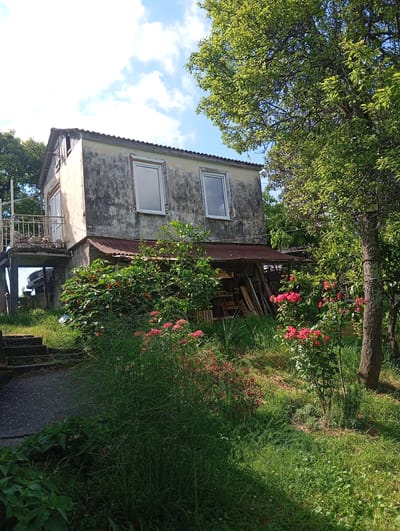 The image depicts a two-story building with a weathered exterior, situated in a lush, green environment. The building has a corrugated metal roof and several windows, some of which appear to be double-paned. A small balcony with a decorative railing extends from the side of the upper floor. In front of the building, there is dense vegetation, including bushes with red flowers and trees. A stone pathway and steps lead up to the left side of the structure. The overall scene suggests a rural or semi-rural setting, potentially a residential property. The sky is partly cloudy, with patches of blue visible. The lighting indicates it is daytime.