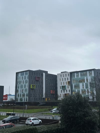 This image depicts an urban landscape in Saint-Herblain, France, under an overcast, light grey sky. Three multi-story buildings dominate the mid-ground. The leftmost building features a dark grey facade with vertical sections of glass windows and integrated colorful rectangular window frames in green, purple, red, and yellow. Adjacent to it, a lighter grey or white building presents numerous smaller, uniformly rectangular windows with some colorful accent frames in yellow and green. To the right, a third building displays a contemporary glass and light grey panel facade, appearing to be an office structure.
In the left background, a red building with the white letters "BUT" is partially visible, with a tall mast or antenna rising behind it.
The foreground consists of a dark green, dense hedge. Beyond the hedge, a paved area, likely a parking lot, contains several parked vehicles: a white Citroën C3 hatchback in the center, a dark grey SUV to its left, and a partial view of a red vehicle further left. Two grey waste bins are positioned near the parked cars. Further back, between the foreground and the main buildings, are areas of short green grass, a paved pathway, and dark, bare deciduous trees on the right. A single street light pole and a small solar panel mounted on a pole are also visible in the mid-ground. No individuals are discernible within the frame.