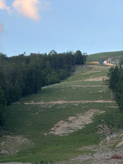 The image depicts a pastoral landscape in Katun Bačko brdo, Montenegro. A lush green mountainside dominates the scene, characterized by grassy slopes interspersed with patches of exposed earth and rock. The terrain appears somewhat rugged, with visible tracks or paths winding up the incline. In the distance, a small building with a green roof is nestled against the hillside. A ski lift structure is also visible, suggesting the area might be used for winter sports, though the current season appears to be warm, given the green vegetation.
Along the left side of the image, a dense forest of dark green trees forms a stark contrast to the lighter green of the mountainside. The trees are tall and appear to be evergreen. Above the trees and mountain, the sky is a soft, pale blue with a few wispy clouds, one of which has a peachy hue, suggesting either early morning or late afternoon light. The overall atmosphere is serene and natural. There is no visible text in the image.
