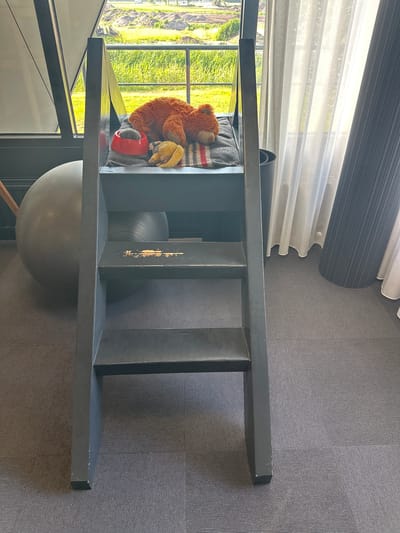 The image shows a dark gray stepladder with two plush toys on the top step. The toy on the left is orange and fuzzy, resembling a bear, with a red bowl in front of it. To its right is a smaller, yellow plush toy. They are positioned on a gray blanket with red and white stripes. The stepladder is in a room with a grey carpeted floor. To the left of the stepladder is a large, grey exercise ball. Behind the stepladder and toys, a window overlooks a green field with some construction in the distance, possibly indicating an outdoor scene in or near Staphorst, Netherlands. Sheer white curtains hang to the right of the window, and a dark gray pleated curtain is partially visible. The scene appears to be indoors, with the outdoor view through the window. There are no people or active interactions depicted.