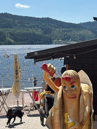 This media file, oriented vertically, captures a lively outdoor scene likely in Titisee-Neustadt, Germany. In the foreground, a large, whimsical hot dog statue with blue eyes and a pink tongue is depicted in the act of squirting ketchup from a red bottle. The statue is adorned with a white bun and appears to be a playful mascot.
Behind the statue, a glistening body of water, likely Titisee, stretches out, reflecting the bright sunlight. The water is dotted with a few small boats, suggesting recreational activities. In the distance, a lush, green, tree-covered mountainside rises, a characteristic feature of the Black Forest region. A single, wispy white cloud floats in the clear blue sky.
The setting appears to be a waterfront promenade or a terrace of a restaurant or café. Several tables and chairs are visible, some with umbrellas, hinting at a place for relaxation and dining. A black dog with its tongue out is captured mid-stride on the paved ground, adding a dynamic element to the scene.
In the background, partially obscured by the statue and tables, are glimpses of other people, some seated and others standing, and a wheelchair. The overall atmosphere seems relaxed and enjoyable, typical of a sunny day in a popular tourist destination. The bright sunlight suggests it is daytime, likely midday or early afternoon. No specific event is clearly depicted, but the scene conveys a sense of leisure and enjoyment of the natural surroundings. There is some visible text on a sign behind a table that reads "SAILLOS" rotated.