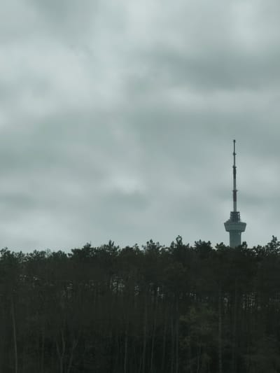 A tall transmission tower looms over a dense forest under an overcast sky. The tower is light gray and features several tiers of infrastructure, including antenna and circular platforms. The forest is dark and obscures the base of the tower, giving the impression of the tower emerging directly from the trees. The sky is uniformly gray and cloudy. This photograph was taken in Verkhnebakanskiy, Russia.