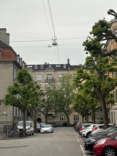 The image depicts a street scene in Frederiksberg, Denmark, on an overcast day. The street is lined with multi-story buildings, characterized by neoclassical architecture with prominent cornices, arched windows, and mansard roofs. Several trees with neatly trimmed branches and lush green foliage are planted along the sidewalk, casting shadows on the road.

On the left side of the street, a row of bicycles is parked against a wall, and a white van is parked behind them. Further down the street, a white electric car is visible. The right side of the street features a line of parked cars, including a red car in the foreground, followed by a black car, and several other vehicles. Power lines and a street light are suspended overhead. The overall atmosphere is serene and urban, suggesting a residential or mixed-use area.