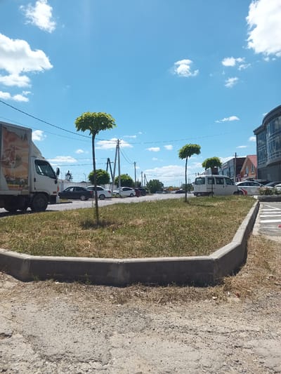 This is a horizontal, eye-level photograph of a street scene in Krymsk, Russia. The sky is a bright, clear blue with scattered white cumulus clouds, suggesting a sunny day. The time of day is likely midday or early afternoon.
In the foreground, a concrete curb defines a grassy area with dry, tan grass and a few small green shoots. Beyond the curb, a cracked asphalt surface is visible.
To the left, a white box truck is parked, facing right. The side of the truck features a graphic of food items in warm colors. Next to the truck, a black sedan is parked. Further down the street, a white van is parked, and to its right, several other cars are visible in a parking lot.
In the middle ground, two small, ornamental trees with round, leafy tops stand on slender trunks, planted in the grassy area. The trees are symmetrically shaped. Behind them, more trees and buildings are visible. One building has a modern, curved glass facade. Another building appears to be a house with a red-tiled roof.
The background includes power lines and utility poles stretching across the frame. The overall scene depicts a typical urban or suburban street with parked vehicles and greenery under a bright, sunny sky. There is no visible text in the image.
