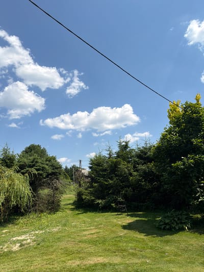 In Mordarka, Poland, this scene depicts a sunny outdoor environment with a clear blue sky and scattered white clouds. A black wire traverses the upper portion of the frame diagonally from the top left to the middle right. The landscape features a well-maintained green lawn in the foreground. Behind the lawn, a dense collection of various trees and shrubs dominates the midground, including evergreen trees, a weeping willow, and deciduous trees. A small, rustic structure, possibly a shed or a small house, is partially visible through the trees in the distance, along with what appears to be a utility pole. In the middle ground, to the right of the path, a metal chair with a basket-like seat is positioned on the lawn, casting a shadow. The overall impression is one of a rural or semi-rural residential setting.