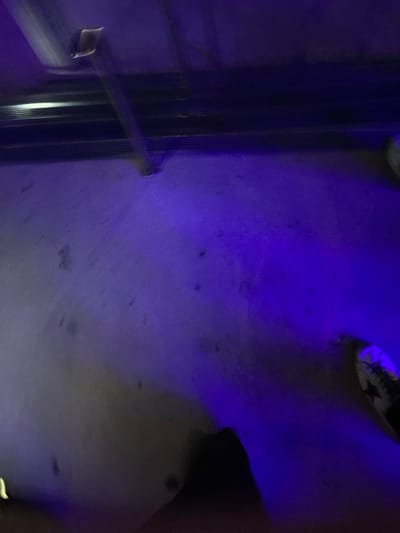 An indoor, tilted shot reveals a corner with vertical metal bars to the left. A shoe with a white star is barely visible in the top center. The scene is bathed in a purple light, illuminating the floor which has dark specks scattered across its surface. To the bottom right, a darker, blurry shape is present.