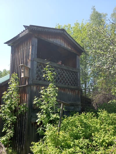 A weathered, two-story wooden structure stands amidst lush greenery. The structure features a decorative roof overhang, a lattice-work balcony, and a birdhouse attached to its side. A child with a cap is visible peeking out from behind the balcony railing. The scene suggests a rural setting on a sunny day in Монастырка, Russia.
