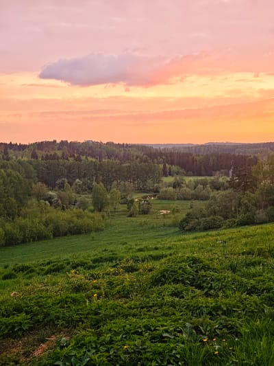 The image depicts a landscape in Ильинское, Russia, under a sunset sky of pink and orange hues. A single, light-colored cloud floats in the upper left. The foreground is dominated by a grassy hillside with patches of green foliage and small yellow flowers. Beyond the hillside, a valley stretches out, containing a mix of green fields and woodland. A dense forest line forms the horizon, with glimpses of structures visible in the distance.