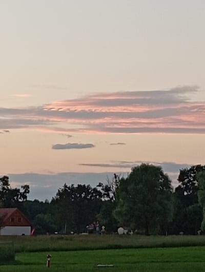 The image depicts a serene landscape scene, likely in Sztynort, Poland, during the golden hour of sunset. The sky is a canvas of soft pastels, with streaks of pink and orange painting the wispy clouds. To the right, a dense line of trees creates a dark silhouette against the fading light, their branches reaching upwards. A patch of vibrant green grass stretches across the foreground, suggesting an open field or park.
In the middle ground, a small, reddish-brown roofed building with a white section peeks out from behind the trees, adding a touch of human habitation to the natural beauty. Further to the right, a red and white object, possibly a marker or a small structure, stands near the edge of the grassy area. The overall atmosphere is tranquil and peaceful, evoking a sense of calm as day transitions into night. The lighting suggests a clear evening, with the warm glow of the setting sun casting long shadows. There is no visible text in the image.