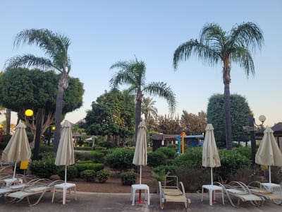 The image depicts a tropical outdoor scene, likely at a resort, with a clear, pale blue sky. In the foreground, several empty lounge chairs are arranged on a paved surface. Two of the lounge chairs are folded. Next to the lounge chairs are three closed, cream-colored patio umbrellas, each resting on a small white plastic table. A fourth, identical umbrella is visible further back, also closed.
Behind the lounge chairs and umbrellas, the scene transitions to lush greenery. Several palm trees are prominent, with their fronds extending towards the sky. One particularly large palm tree is positioned in the center of the frame. Dense, manicured bushes and smaller trees form a layered backdrop.
In the middle ground, a yellow lamppost with two spherical lights is visible to the left. Further back, hints of buildings with thatched roofs and colorful playground equipment, including blue, yellow, and red structures, suggest a recreational area. The ground is covered with gravel and dirt in some areas, interspersed with more vegetation. The overall impression is of a tranquil, resort-like environment in a warm climate, possibly during the early morning or late evening due to the soft lighting and clear sky. The location is identified as Tserkezoi, Cyprus.