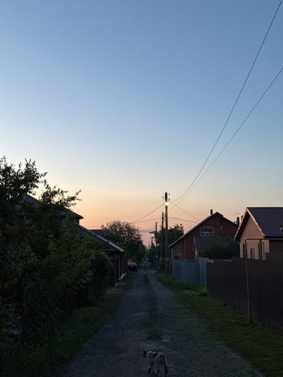 The image shows a rural scene in Grushevskaya, Russia, at dusk. Two power lines stretch across the pale blue and orange sky. A gravel road winds through a residential area, with houses and trees lining the sides. The houses have dark roofs, and some have visible windows. The trees are green and leafy, suggesting it's summertime. The overall mood is peaceful and serene, with the soft colors of the sunset illuminating the sky and casting long shadows. There is no visible text in the image.