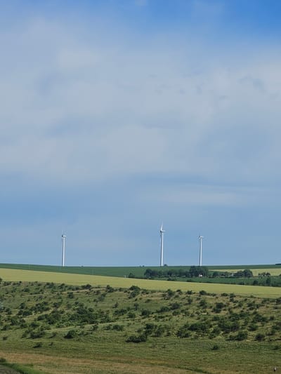 The image displays a landscape dominated by a vast expanse of sky and a rural setting. The sky is a pale blue, with soft, wispy clouds. In the distance, silhouetted against the sky, are three wind turbines, spaced apart across the horizon. Their white structures stand tall and slender, suggesting they are in operation, harnessing the wind.
The lower portion of the image reveals a field divided into different sections of vegetation. A vibrant green field stretches across the scene, bordered by a darker, more textured area of shorter vegetation, possibly fields of grass or low-lying brush, interspersed with darker green bushes. A straight line of trees runs along the horizon, defining the boundary between the cultivated land and the sky. The overall impression is one of open space and a rural environment, likely a countryside location.
The lighting suggests it is daytime, with the sun illuminating the scene, though the clouds create a diffused light. There are no people or animals visible in the image, and the wind turbines appear to be the only man-made objects of significant size. The scene evokes a sense of tranquility and the power of nature, with the wind turbines symbolizing the integration of renewable energy into the landscape. The image appears to be taken from a slightly elevated perspective, looking out over the fields towards the horizon. The location is Rădoaia, Moldova. There is no visible text in the image.