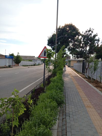 The image depicts a paved sidewalk adjacent to a road in the city of Dustlik, Uzbekistan. The sidewalk is constructed with rectangular pavers in shades of gray, yellow, and red. A row of manicured green bushes and trees runs along the edge of the sidewalk, separating it from the road. A white line marks the edge of the road.
In the foreground, several young trees and dense green foliage are visible. A traffic sign, a red and white triangle with a black symbol indicating a fork in the road, is mounted on a gray pole on the sidewalk.
In the background, there are buildings with white and gray walls and gray roofs, some appearing to be industrial or storage facilities. A few individuals are present, including one man in a white shirt and dark pants standing on the sidewalk, and another person further down the sidewalk. Trees with dark green foliage are scattered throughout the scene. The sky is bright and overcast with some sunlight filtering through the trees. A lamppost is visible on the left side of the image. A vehicle, possibly a bus, is partially visible on the road in the distance.