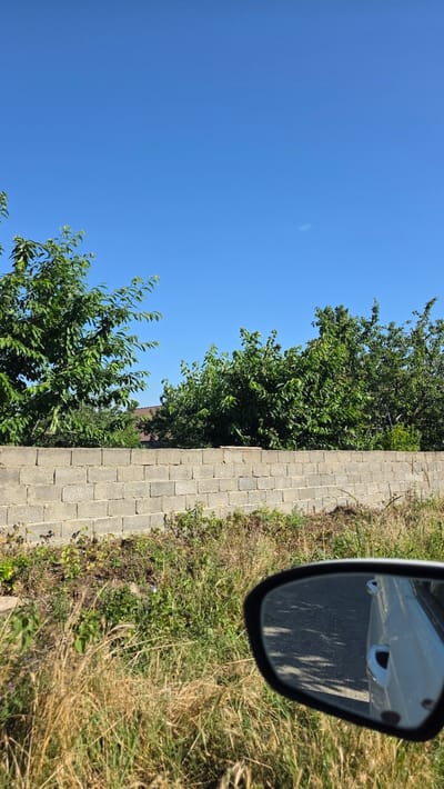 The image depicts a daytime outdoor scene, likely in Stalskoye, Russia, showing a clear blue sky above a row of trees. In the foreground, a low, grey concrete block wall separates the viewer from the trees and the sky. To the right of the wall, tall, dry grass and green foliage are visible. A car's side mirror is in the lower right corner of the frame, reflecting a paved surface and the side of a white vehicle.