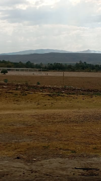 A wide, flat, arid landscape under a cloudy sky. Distant mountains are visible on the horizon. A fence runs across the mid-ground with a few figures standing near it. The foreground is dominated by dry, uneven terrain with patches of vegetation. The colors are muted, mainly browns and greens.