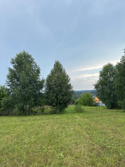 The image depicts a rural landscape under a cloudy sky. In the foreground, a field of green grass is visible, with some patches of dry grass. A rustic wooden fence runs horizontally across the middle ground, partially obscured by trees. To the left, two large, leafy trees stand prominently. To the right, another large tree is visible, and further in the background, a wooden house with a yellow roof and a modern metal fence can be seen amongst a cluster of trees. The background features rolling hills covered in dense forest, extending to the horizon. The overall impression is one of a serene, natural setting in a rural area, possibly on the outskirts of a town like Красный Ключ, Russia.