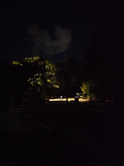The image depicts a nighttime outdoor scene, likely in a residential or semi-rural area, as evidenced by the presence of trash receptacles. The environment is characterized by dense vegetation and trees, illuminated by artificial light sources. A significant tree, lit from below and the side, dominates the left-center of the frame, casting long shadows. In the middle ground, a path or driveway is visible, with two blue trash bins positioned on the right side. Beyond these, a small, sparsely leaved tree is also illuminated. The sky is dark, with a single, indistinct cloud formation visible in the upper portion. The overall impression is one of a dimly lit, outdoor space at night, possibly a backyard or common area with foliage and waste disposal amenities. The location in Islamorada, United States of America, suggests a warm climate, which could explain the lush vegetation.