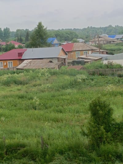 The image depicts a view of the village of Vidonovo, Russia, under an overcast sky. The foreground is dominated by a dense field of green grass and weeds, with a few scattered white wildflowers. A wooden fence, partially obscured by vegetation, runs horizontally across the mid-ground. Behind the fence, several residential buildings are visible. These structures appear to be small, single-story houses with pitched roofs, some of which are red or gray. The buildings have visible windows and doors, and some are made of wood. A few trees and larger bushes are interspersed among the houses and in the background. The overall impression is of a rural, somewhat unkempt, village scene. There are no people visible in the image.