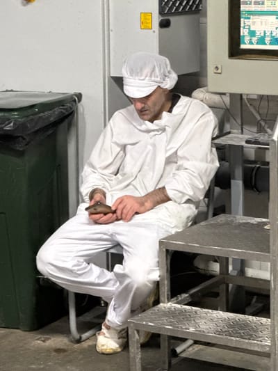 A man in white protective clothing, including a chef's hat, sits on a stool next to a green trash can. He holds a smartphone in his hands and appears to be looking at it. The man is wearing white pants and white shoes. In the background, there is industrial equipment, including a metal shelf and a control panel with a screen displaying data. The floor is concrete and appears to have some dirt and debris. The scene is indoors, possibly in a food processing facility or industrial kitchen. The image is undated and location is not specified, however it is not possible to determine the location in the city of Dedovsk, Russia.