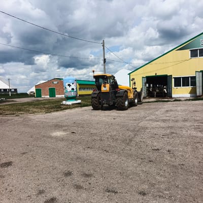 This media file shows a farmyard scene in Orlovka, Russia, on a cloudy day. A yellow tractor with a license plate reading "7057 YP 02" is parked on a gravel surface. Behind the tractor, a long, yellow building with a green roof has large open doors, revealing cows inside. To the left of the yellow building, a red brick structure with green doors is visible. In the foreground and to the left of the tractor, a cylindrical sculpture painted with a cow and the number "1" stands on a white base. The sky is filled with dramatic, dark clouds, suggesting an approaching storm or recent rain. Power lines crisscross the sky above the buildings. The overall impression is one of an active agricultural setting under a turbulent sky.