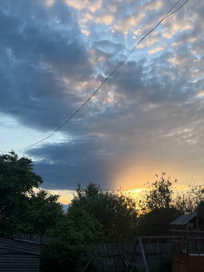 The image captures an atmospheric outdoor scene at either sunrise or sunset, set against the sky over Новая Тура, Russia. The sky presents a striking contrast, transitioning from dense, bluish-gray clouds on the left side to a brilliant, golden-yellow light on the right horizon, where the sun's glow is visible behind foliage and structures. Patches of lighter, illuminated clouds are interspersed throughout the darker cloud formations.
Two thin, dark wires, possibly utility lines, stretch diagonally across the sky from the upper left to the lower right of the frame, featuring small, regularly spaced nodes or insulators. Along the right edge and bottom right corner, the dark silhouettes of numerous trees and dense foliage are prominent, back-lit by the warm light of the horizon. Adjacent to the trees, dark wooden structures, likely fences or parts of rural buildings, are also visible in silhouette, adding to the semi-rural setting. There is no visible text or explicit human activity, conveying a tranquil and natural landscape.