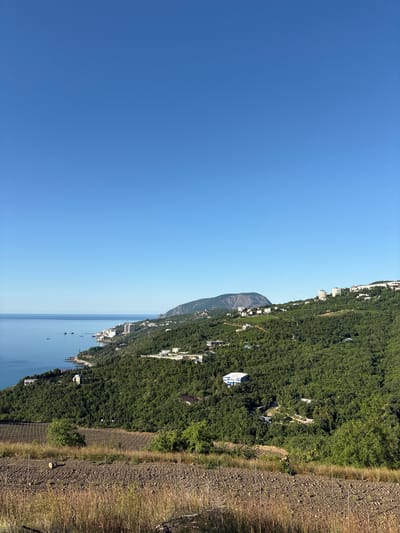 This image captures a panoramic view of the coastal city of Lazurnoe, Ukraine, under a clear blue sky. The foreground features a terraced hillside with dry grass and a low fence, suggesting agricultural or undeveloped land. Beyond this, a dense forest of green trees covers the undulating terrain of the mountainside. Scattered throughout the trees are several white buildings, including a distinctive modern building with blue accents and a larger, multi-story white structure closer to the coast. The coastline itself is visible to the left, with the calm, blue sea meeting the shore. Along the coast, a strip of white buildings forms the town, with some structures appearing to be hotels or resorts. A prominent mountain with a flat top rises in the distance to the left of the frame, overlooking the town and the sea. The overall scene is one of a peaceful, scenic coastal landscape.