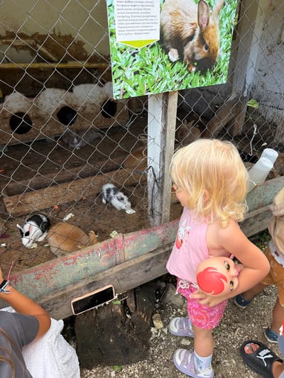 In a sunny outdoor setting, possibly a petting zoo or farm in Semenovka, Russia, a young girl with blonde hair is interacting with rabbits in a cage. She is wearing a pink top with a rabbit graphic and a floral-patterned skirt. She holds a doll with red hair and a smiling face. Around her, other children are visible, some wearing sandals and others with bare feet. One child is wearing black Puma slides. The cage, made of wire mesh and wooden planks, contains several rabbits of varying colors, including brown, black and white, and gray and white. Some rabbits are eating, and small pieces of food, possibly carrots, are scattered on the ground. A brochure with text in Russian is placed near the cage, featuring a picture of a brown rabbit and information about rabbits. A water bottle is also attached to the cage. The overall scene suggests a casual daytime activity, likely a visit to a place where children can observe and interact with animals. The ground is covered with gravel and dirt. A mobile phone with a light-colored case lies on a wooden beam near the edge of the frame.
