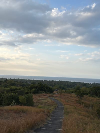An elevated, eye-level, full shot captures a paved pathway winding through dry, golden grass towards a distant, lush green landscape and the ocean under a cloudy sky. The pathway, with visible cracks and a worn appearance, is in the foreground, curving from the bottom right towards the center left of the image. Tall, dry grasses dominate the immediate foreground and the right side of the path, while more varied green foliage and trees fill the mid-ground.
In the mid-ground, a small, open-sided pavilion with a dark, sloped roof stands nestled among the trees, positioned to the left of the pathway. Beyond this, a dense forest stretches horizontally across the frame, meeting the calm, blue ocean, which occupies the horizon line. The ocean appears serene, with a subtle line of lighter blue indicating the distant horizon where it meets the sky.
The sky above is a soft blue, partially obscured by scattered, fluffy white and grey clouds that create a dynamic, textured ceiling to the scene. The lighting suggests it is either early morning or late afternoon, with a gentle, diffused light bathing the landscape. The overall impression is one of natural beauty and tranquility. The location is identified as the viewpoint overlooking the coast near Kubutambahan, Bali, Indonesia.