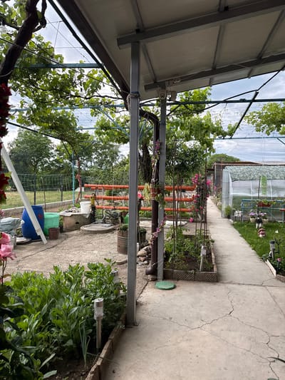 The image depicts a rural garden scene in Dolno Sahrane, Bulgaria. A concrete pathway runs through the center, with a greenhouse visible in the distance. A metal structure covered with grape vines provides partial shade. To the left is a covered area with metal supports. Various garden items are scattered along the pathway, including barrels, containers, and orange pipes supported by a metal frame. A wired fence is visible in the background. Plant beds with solar lights line the path. The image is shot at an angle, seemingly from within a covered area. No people are visible.