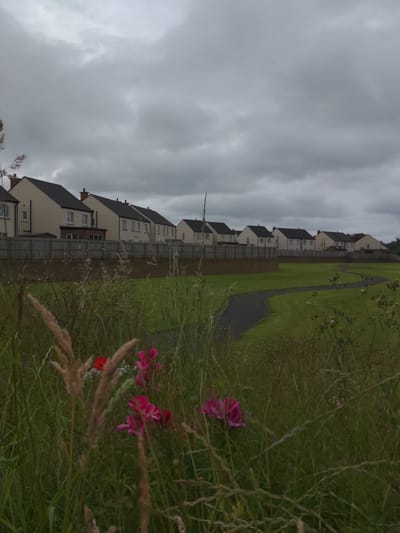 The image depicts a suburban street in Magherafelt, United Kingdom, under a cloudy sky. In the foreground, tall grasses and a few colorful flowers, including pink and red blossoms, are visible, obscuring a portion of the scene. Beyond the vegetation, a pathway winds through a green, manicured lawn. A wooden fence separates the lawn from a row of modern, beige houses with dark grey roofs and dark framed windows. The houses appear to be attached or semi-detached. The sky is overcast with a diffused light, typical of a cloudy day. There are no people or animals visible in the frame.