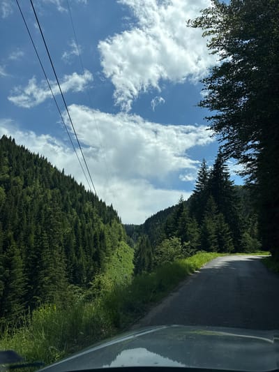 The image depicts a scenic view of a winding asphalt road through a dense coniferous forest. The road is wet, suggesting recent rain. Power lines are visible traversing the sky above the forest canopy. The sun is shining, casting shadows on the road and illuminating the fluffy white clouds in the blue sky. The environment is natural and mountainous, with the slopes of the mountains covered in lush green trees. There are no people or animals visible in the image. The perspective is from inside a vehicle, as indicated by the reflection on the hood in the foreground. The location is identified as Здравец, Bulgaria.