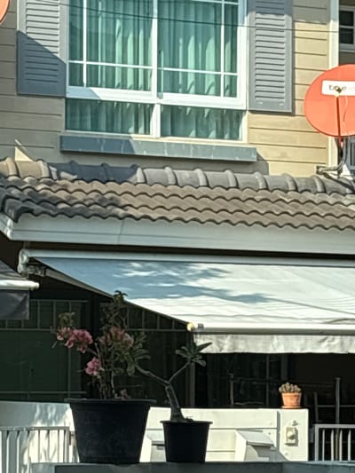 The image displays a segment of a residential building facade in Bang Kaeo Subdistrict, Thailand, under direct sunlight. The upper portion of the building features light brown horizontal siding. A prominent white-framed window with multiple panes is present, revealing light green curtains behind the glass. Grey louvered shutters are fixed on either side of this window. To the right of the window, an orange satellite dish branded "troy tv" is affixed to the siding. Below the window, a grey decorative ledge sits above a roof section characterized by grey undulating tiles and a white gutter system. Directly beneath the gutter, a white fabric awning is extended. In the foreground, positioned on a white concrete or plastered surface, are several potted plants: a large black pot containing a plant with pink flowers and green foliage, a smaller black pot holding a slender plant, and an orange terracotta pot containing multiple small, spherical cacti. The area beneath the awning in the background appears shadowed, revealing a dark fence-like structure and indistinct objects, potentially furniture.