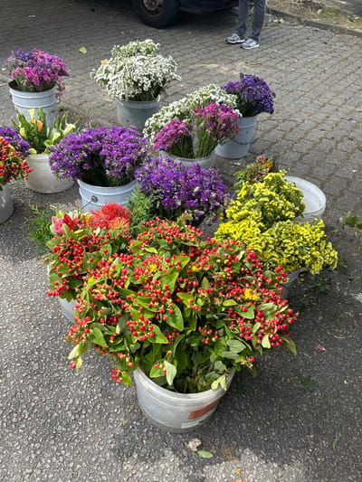 A market stall displays buckets of various flowers on a paved surface. The flowers include bunches of vibrant red berries with green leaves, yellow clusters, purple blossoms, and white and pink blooms. In the background, the legs of a person wearing gray jeans and athletic shoes are visible, standing near a vehicle. The scene appears to be outdoors in a public space.